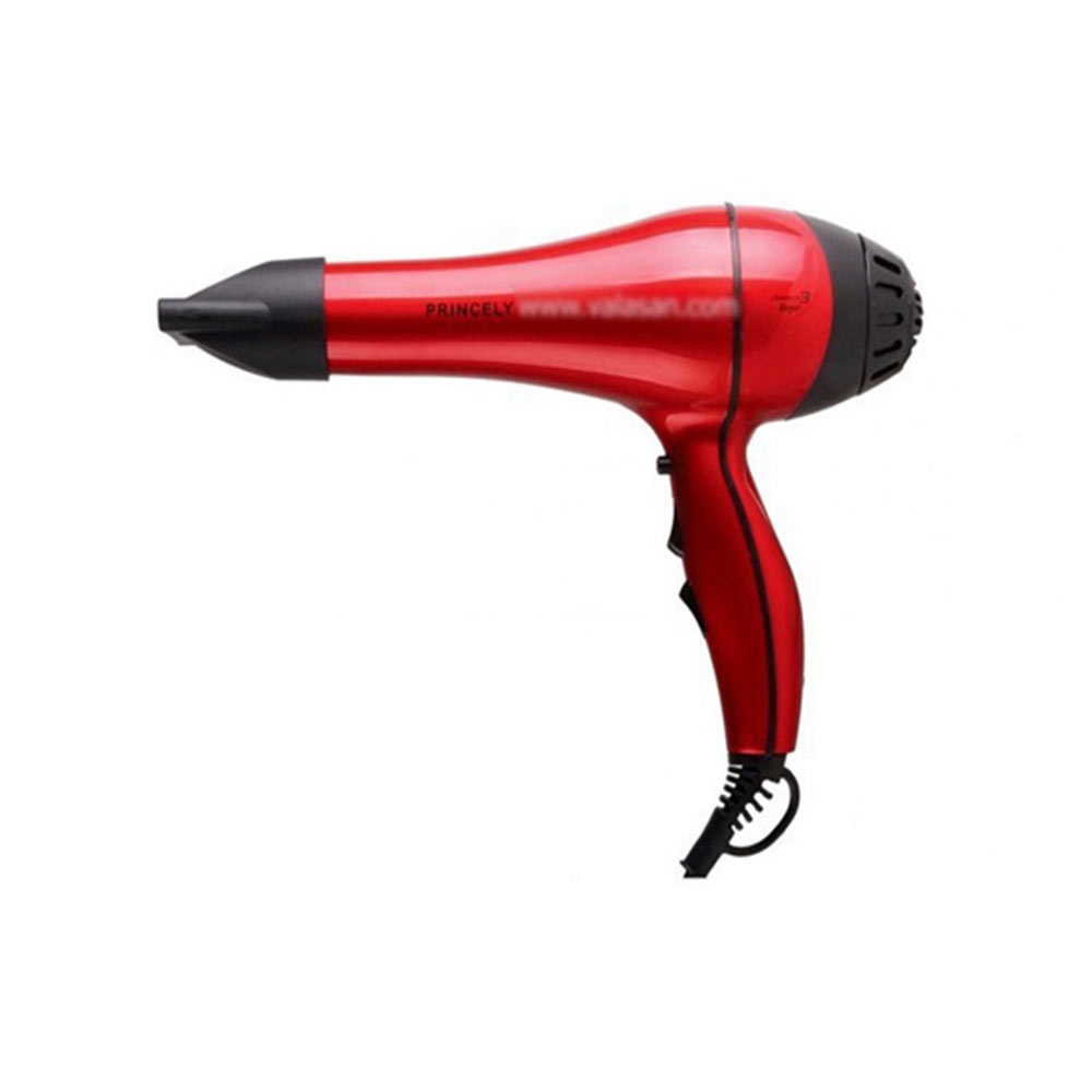 سشوار حرفه ای پرنسلی مدل PR228