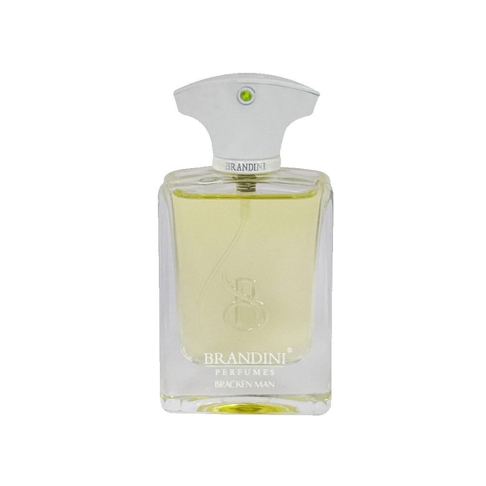 عطر جیبی مردانه برندینی مدل BRACKEN حجم33 میل