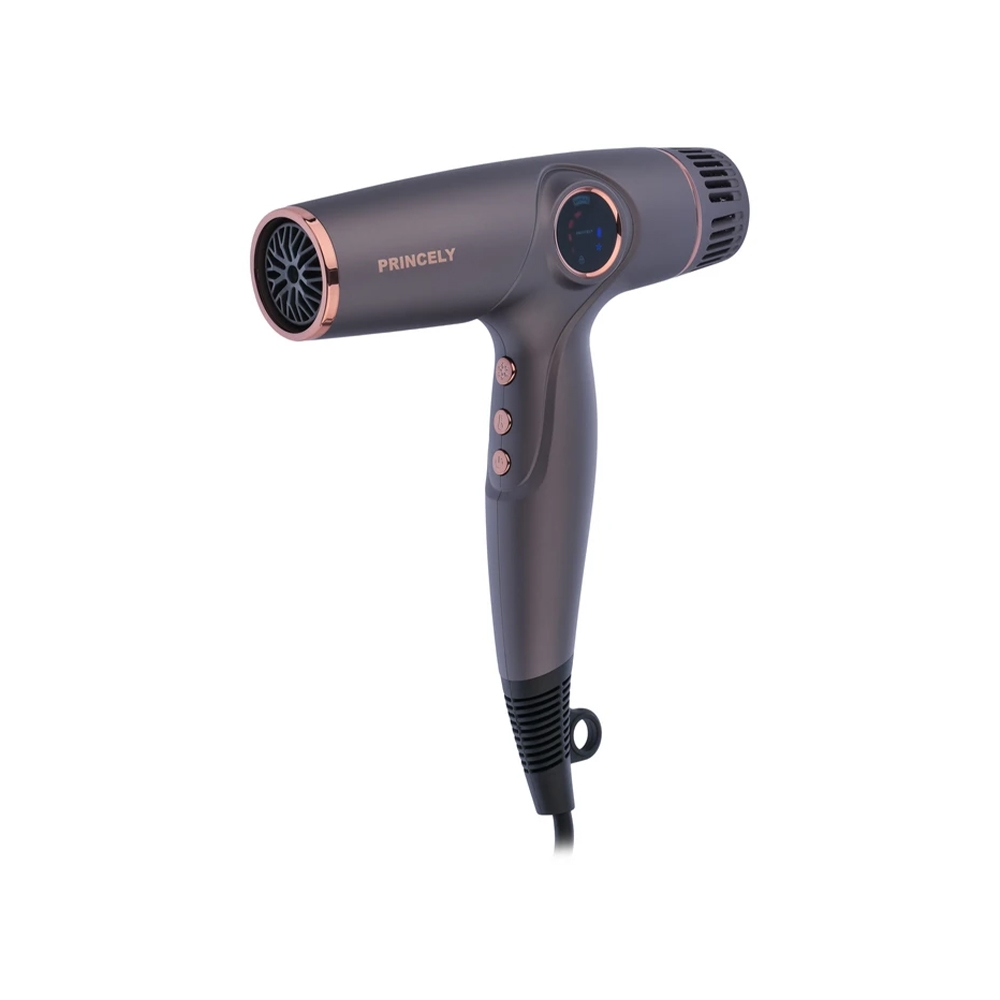 سشوار سبک حرفه ای 1800 وات پرینسلی مدل LIGHTWEIGHT کد PR281