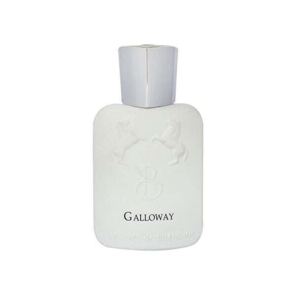 عطر جیبی اسپرت برندینی رایحه GALLOWAY حجم 33 میل