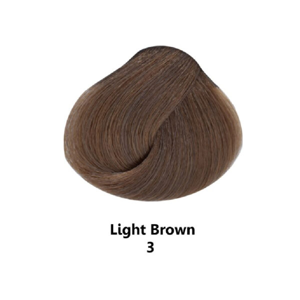 رنگ مو مردانه های اسپیدی شماره 3 رنگ Light Brown قهوه ای روشن وزن 50 گرم